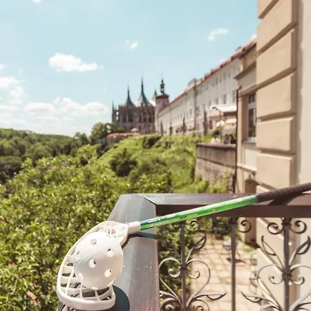 U Varhanare ホテル クトナー・ホラ