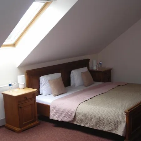 Hotel U Varhanare 3*