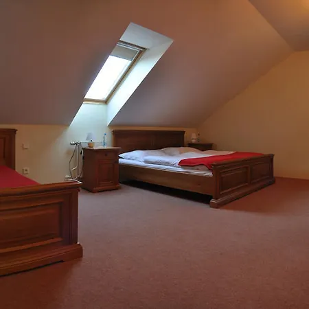 ホテル U Varhanare クトナー・ホラ