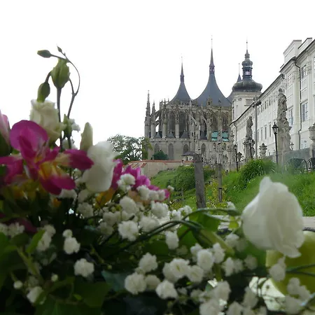 U Varhanare ホテル