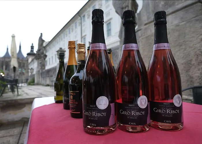 ホテル U Varhanare クトナー・ホラ